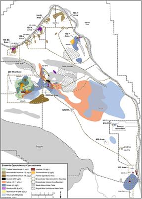 Microbial Contribution to Iodine Speciation in Hanford's Central Plateau Groundwater: Iodide Oxidation